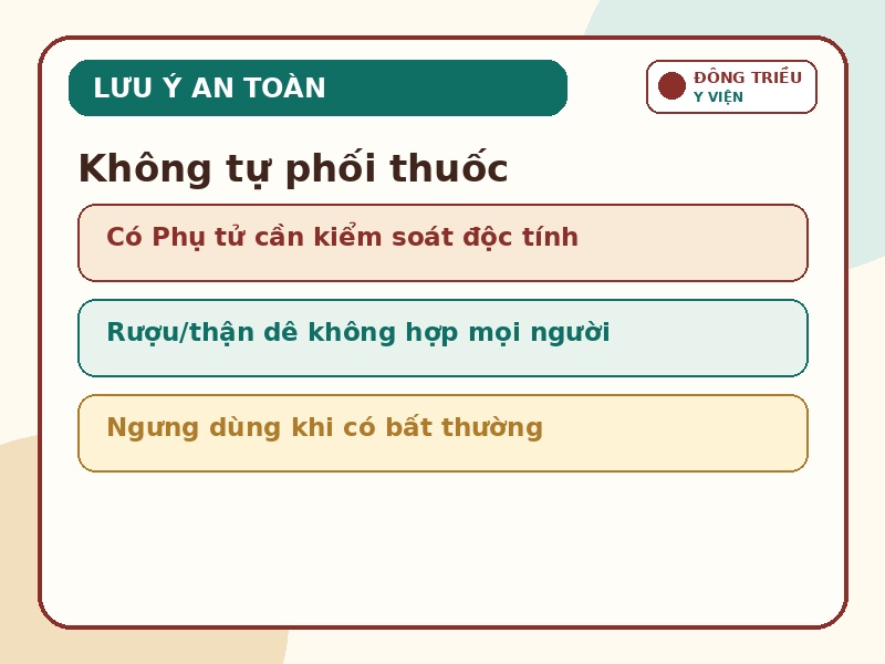 Infographic lưu ý an toàn khi tham khảo Bạch truật Tán XI 2