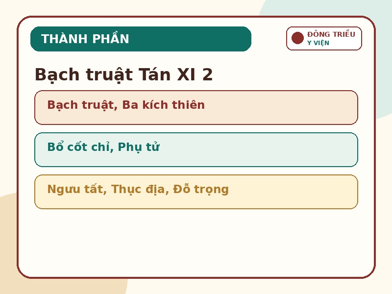 Infographic thành phần chính của Bạch truật Tán XI 2
