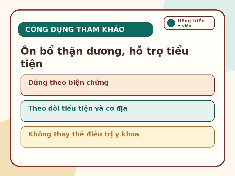 Infographic công dụng ôn bổ thận dương hỗ trợ tiểu tiện của Bạch truật Tán XI