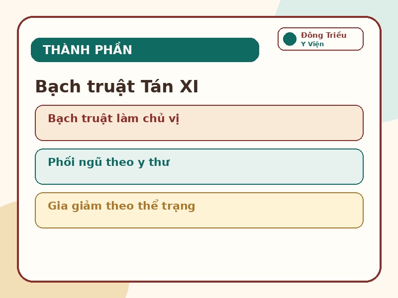 Infographic thành phần bài thuốc Bạch truật Tán XI