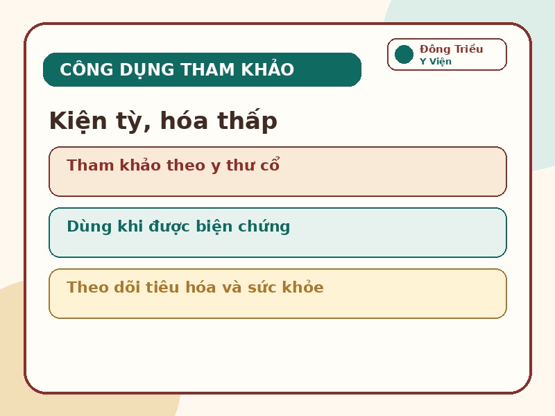 Infographic công dụng tham khảo cho kiện tỳ và hóa thấp