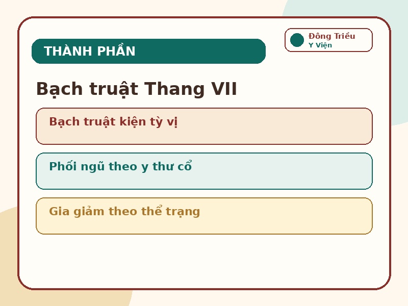 Infographic thành phần bài thuốc Bạch truật Thang VII