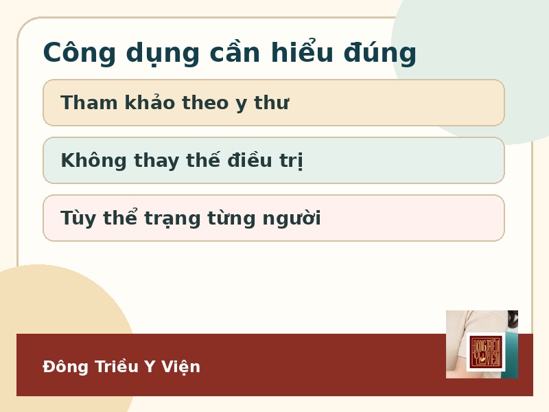 Infographic công dụng Bạch Tử Liên Anh Thang