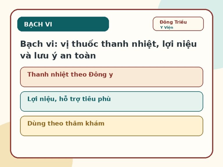 Ảnh đại diện Bạch vi thanh nhiệt lợi niệu và lưu ý an toàn