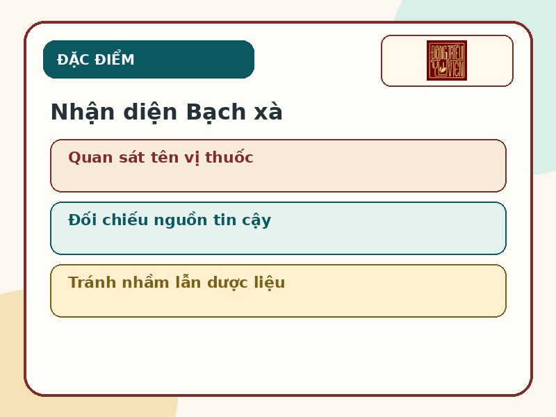 Infographic đặc điểm nhận diện vị thuốc Bạch xà cần tránh nhầm lẫn