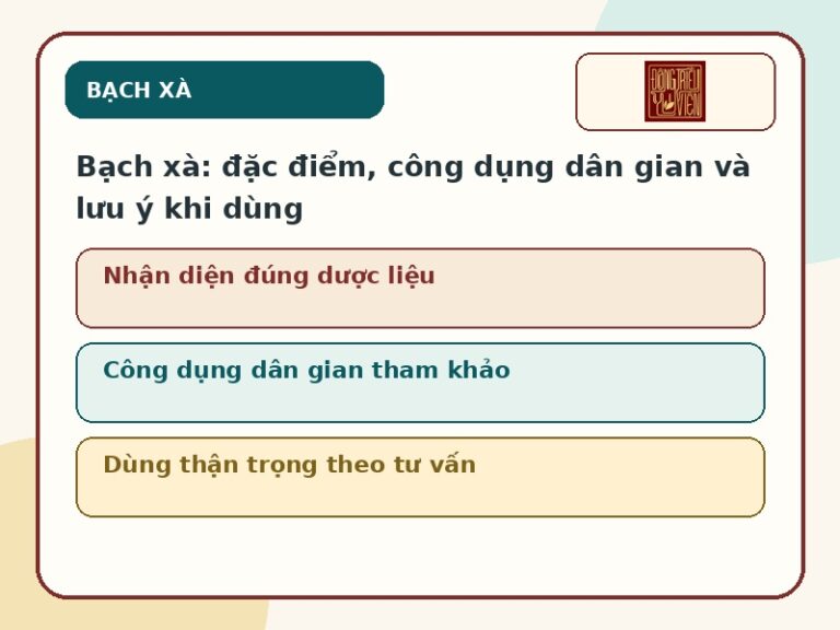 Ảnh đại diện Bạch xà đặc điểm công dụng dân gian và lưu ý khi dùng