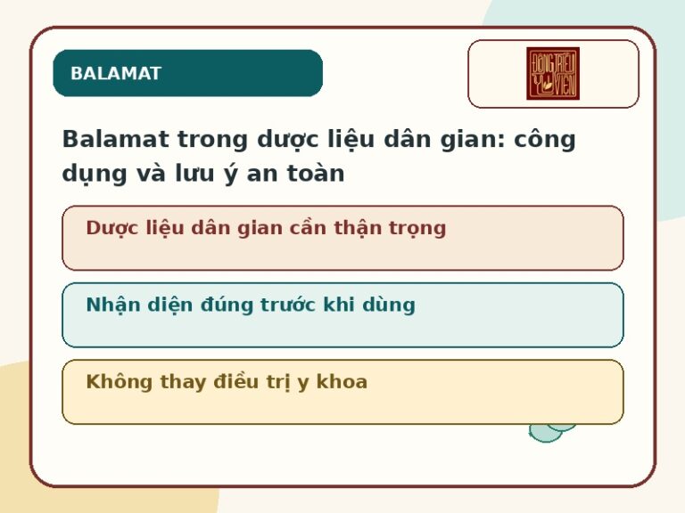Ảnh đại diện bài Balamat trong dược liệu dân gian công dụng và lưu ý an toàn