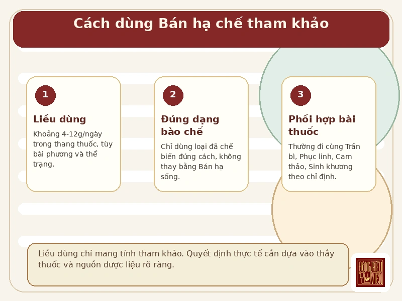 Infographic: cách dùng Bán hạ chế tham khảo