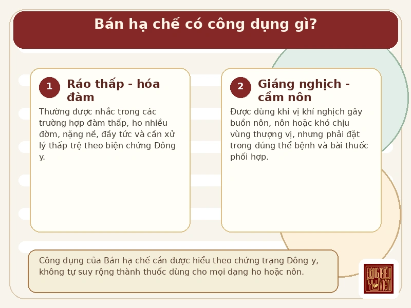 Infographic: công dụng của Bán hạ chế