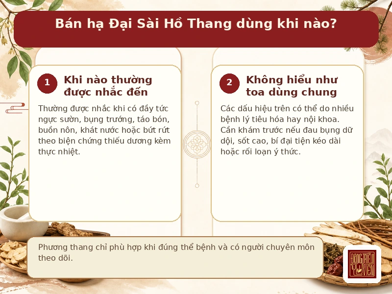 Infographic Bán hạ Đại Sài Hồ Thang: thường được nhắc đến khi nào