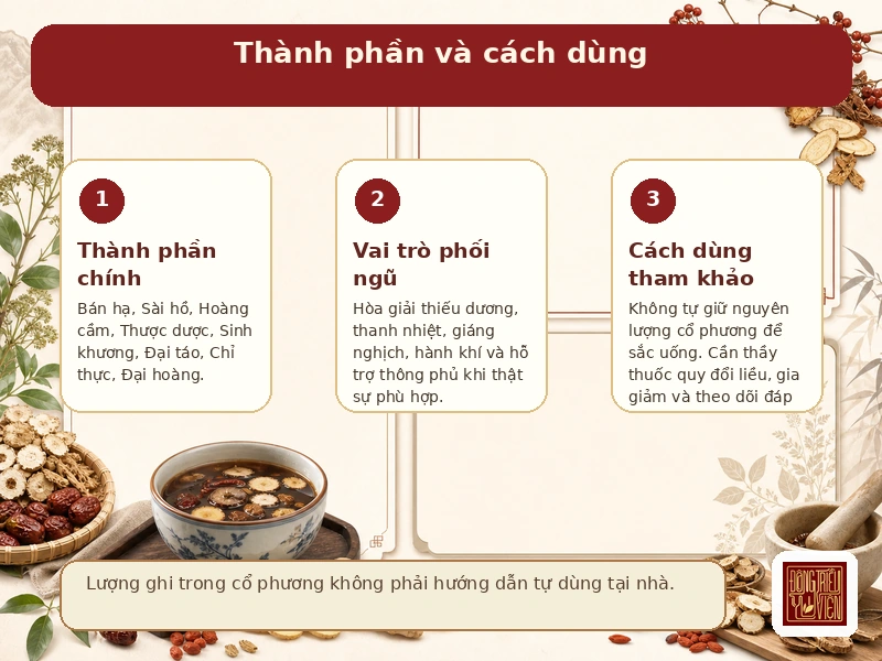 Infographic Bán hạ Đại Sài Hồ Thang: thành phần và cách dùng