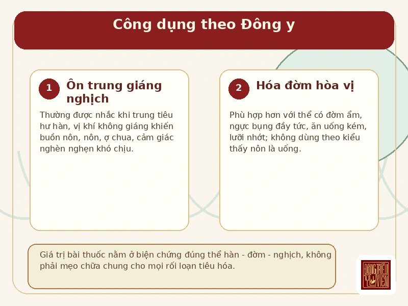 Infographic Bán hạ Đinh hương Hoàn: công dụng theo Đông y