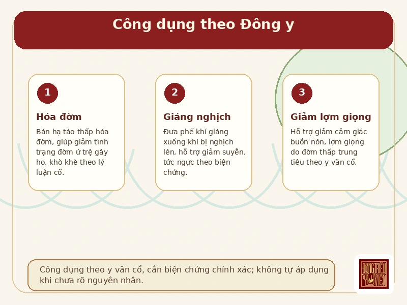 Infographic công dụng theo Đông y của Bán hạ Hoàn V