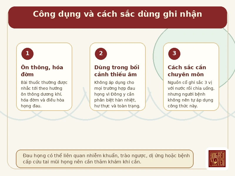 Infographic công dụng và cách sắc dùng Bán hạ Quế chi Cam thảo Thang