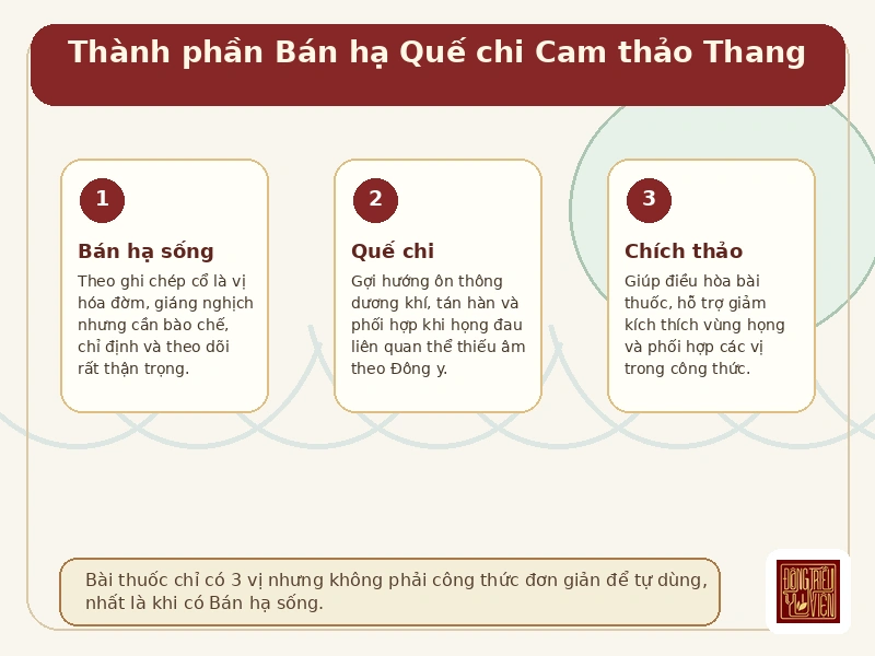 Infographic thành phần bài thuốc Bán hạ Quế chi Cam thảo Thang