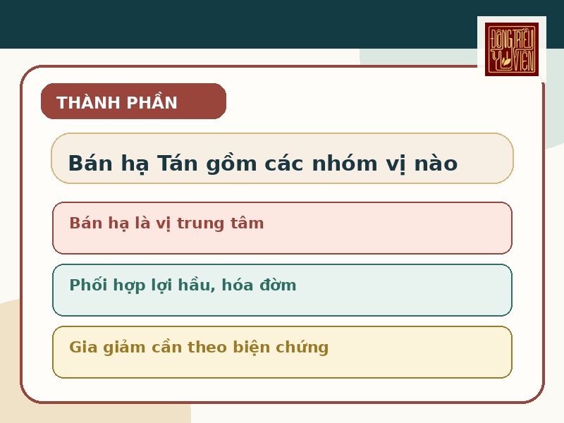 Infographic thành phần và nhóm vị thường được nhắc đến trong Bán hạ Tán