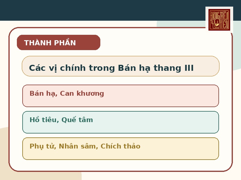 Infographic các vị thuốc chính trong Bán hạ thang III