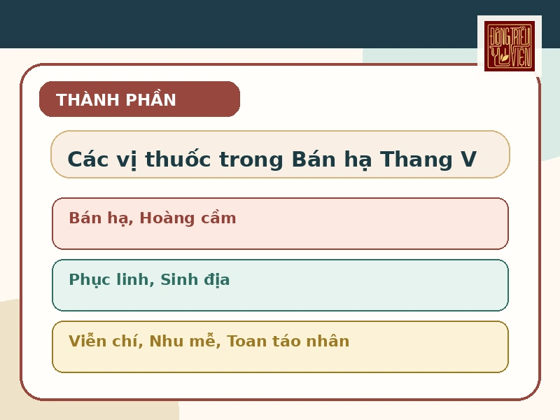 Infographic thành phần thường được nhắc đến trong Bán hạ Thang V