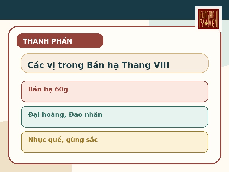 Infographic thành phần thường được nhắc đến trong Bán hạ Thang VIII