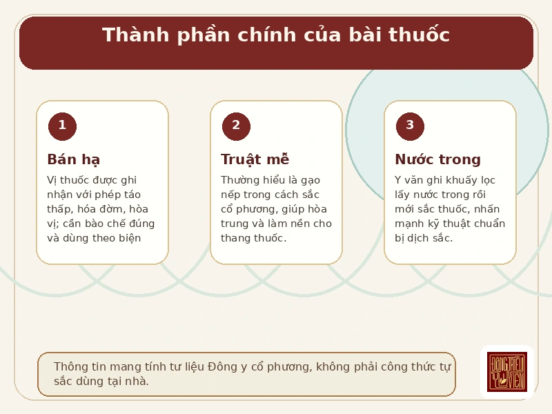 Infographic thành phần Bán hạ Truật Mễ Thang