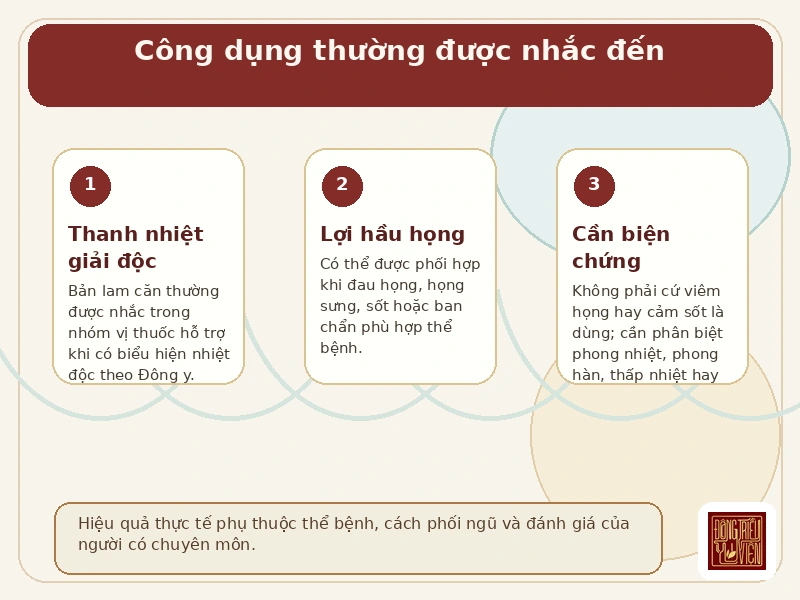 Infographic công dụng tham khảo của Bản lam căn