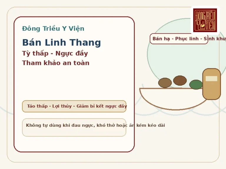Ảnh đại diện Bán Linh Thang với nhóm vị táo thấp lợi thủy và giảm bỉ kết ngực đầy