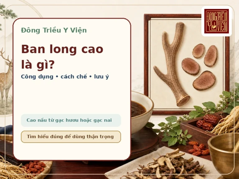 Ảnh đại diện bài Ban long cao là gì? Công dụng, cách chế và lưu ý an toàn