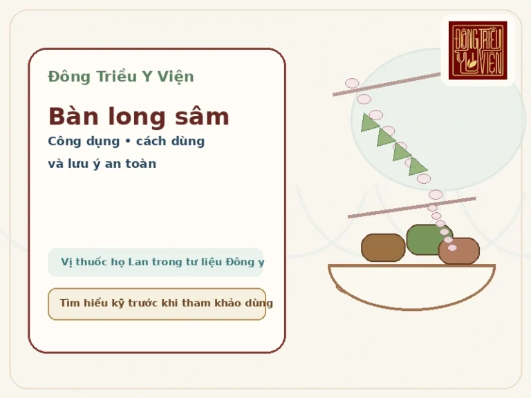 Ảnh đại diện bài Bàn long sâm: công dụng, cách dùng và lưu ý an toàn
