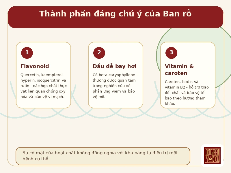 Infographic thành phần dược liệu Ban rỗ