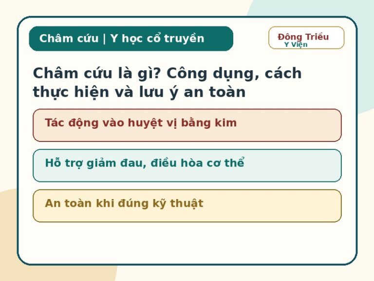 Ảnh đại diện châm cứu phong cách Đông y hiện đại, kim châm và huyệt vị