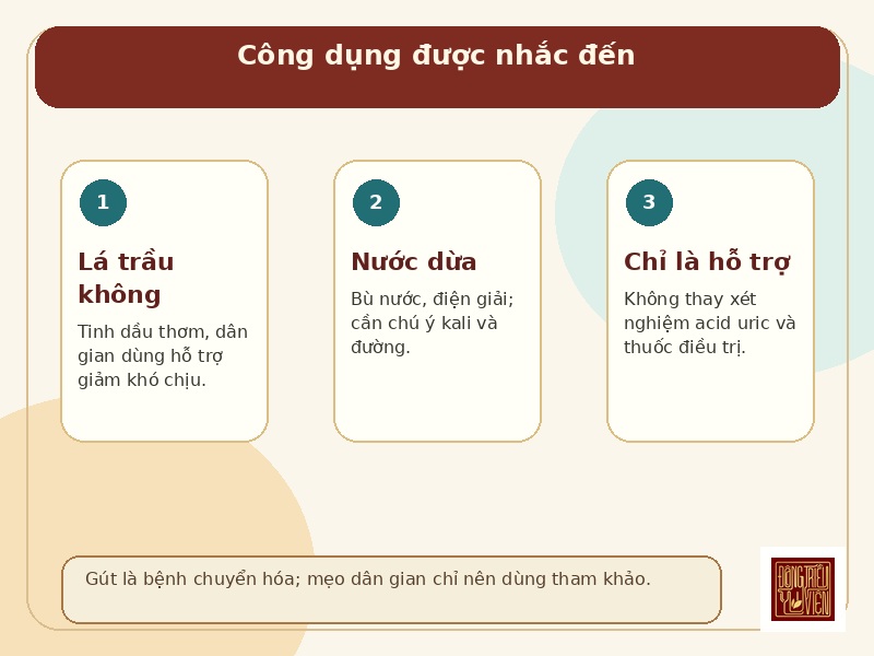 Infographic công dụng được nhắc đến của trầu không, nước dừa trong hỗ trợ bệnh gút