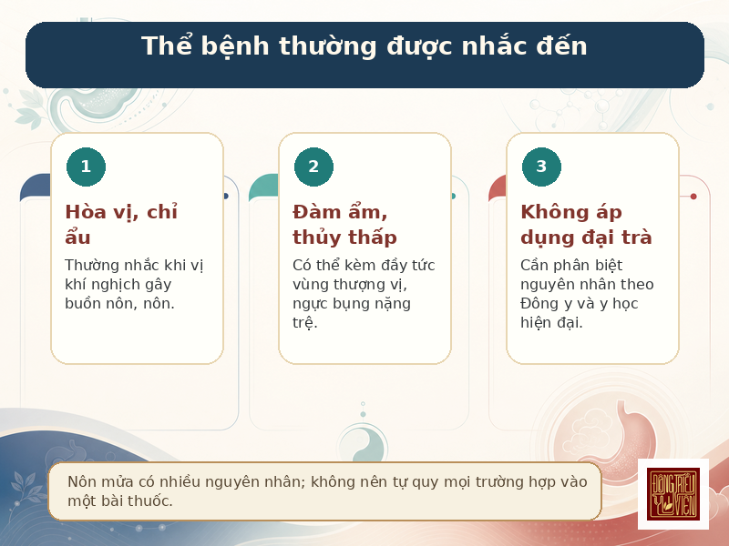 Infographic Bán hạ Gia Phục linh Thang: thể bệnh thường được nhắc đến