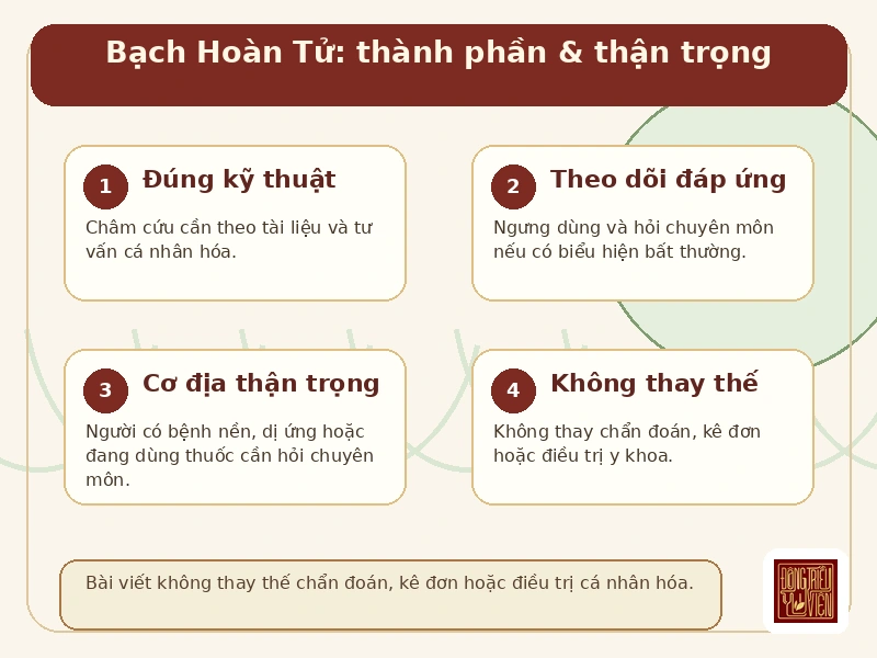 Infographic Bạch Hoàn Tử: cách dùng và thận trọng an toàn