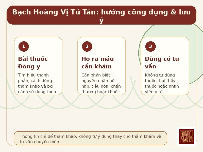 Infographic Bạch Hoàng Vị Tử Tán: hướng công dụng và lưu ý tham khảo