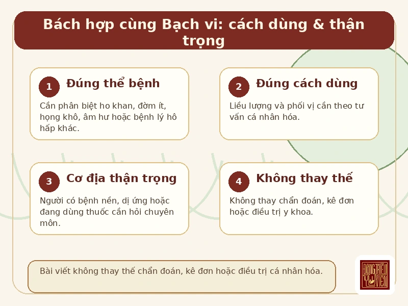 Infographic Bách Hợp Cố Kim Thang: cách dùng và thận trọng an toàn