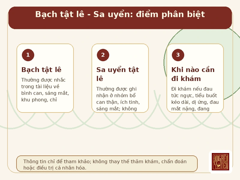 Infographic Bạch tật lê: ý chính khi tham khảo