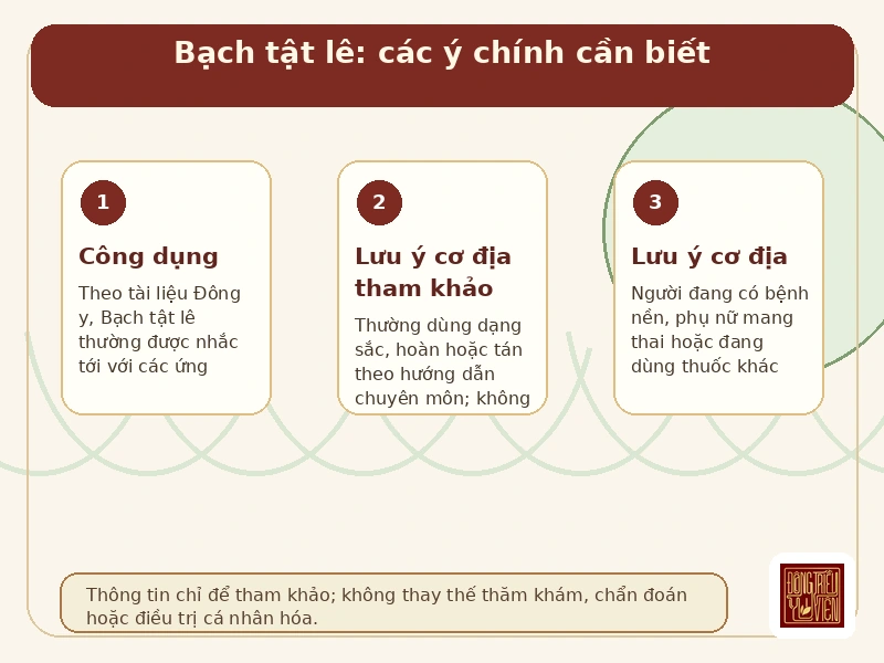 Infographic Bạch tật lê: các ý chính cần biết