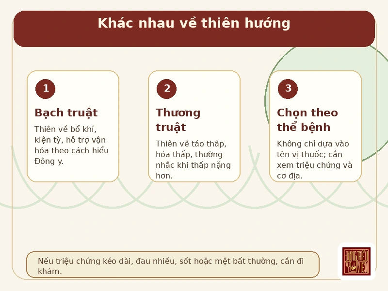 Infographic Bạch truật kiện tỳ, Thương truật táo thấp