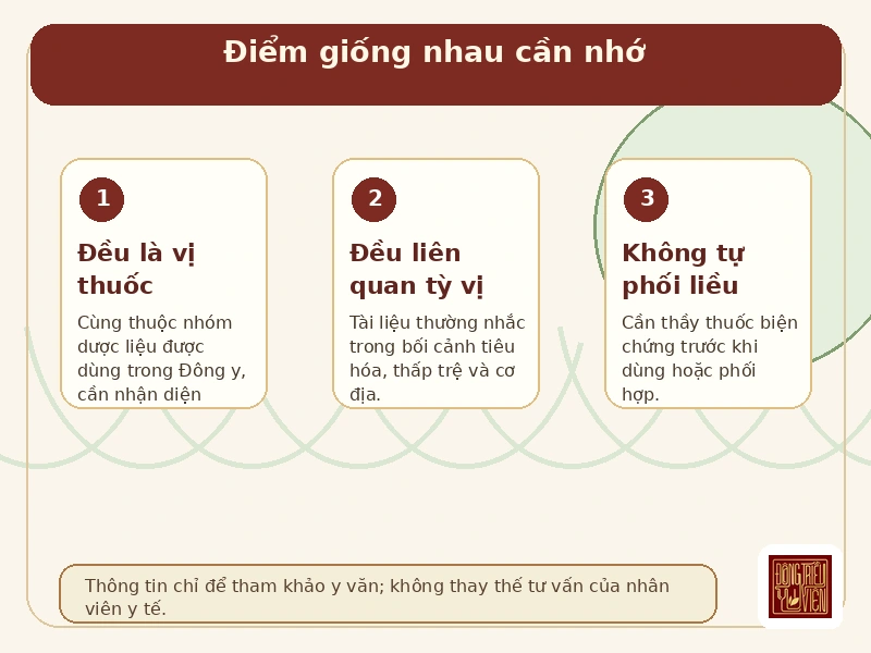 Infographic Bạch truật và Thương truật: điểm giống nhau