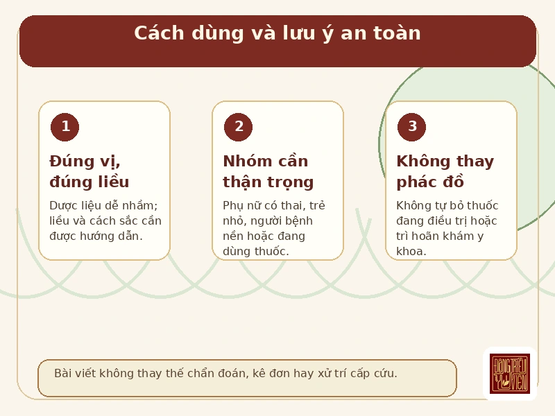 Infographic Bạch truật và Thương truật: lưu ý an toàn