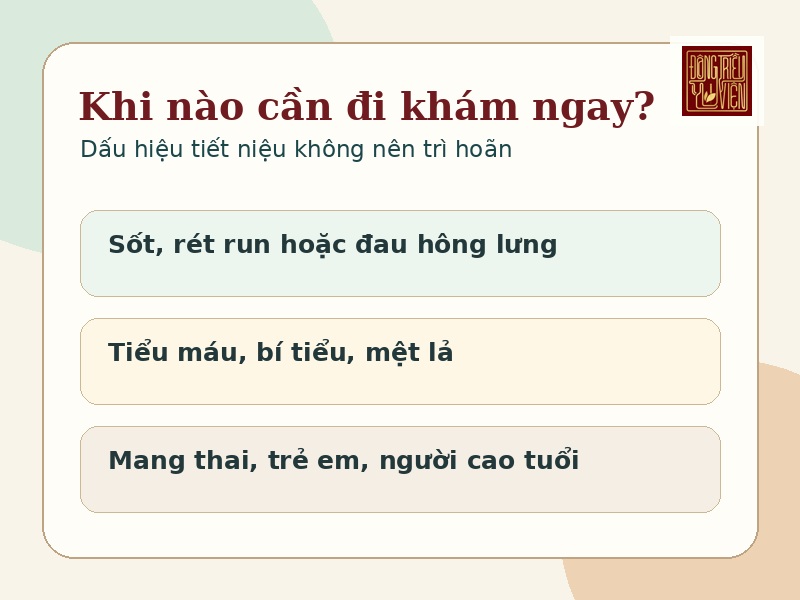 Khi nào cần đi khám ngay? - Dấu hiệu tiết niệu không nên trì hoãn