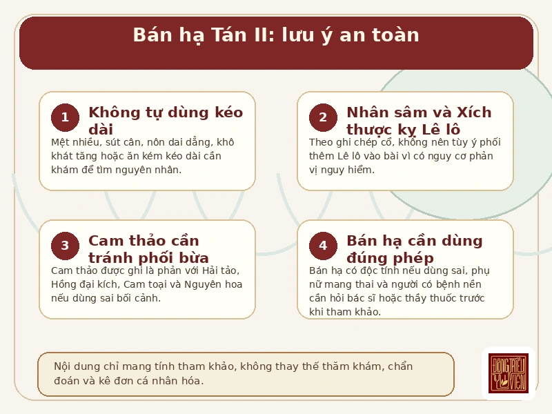 Infographic Bán hạ Tán II: lưu ý an toàn, kiêng kỵ phối ngũ và thận trọng khi tham khảo