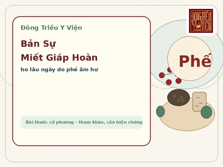 Ảnh đại diện Bản Sự Miết Giáp Hoàn: minh họa ba vị Địa cốt bì, Miết giáp, Ngũ vị tử trong bài thuốc cổ phương tham khảo cho ho lâu ngày do phế âm hư