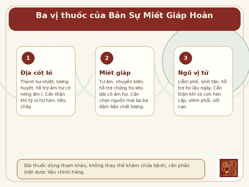 Infographic Bản Sự Miết Giáp Hoàn: ba vị thuốc Địa cốt bì, Miết giáp, Ngũ vị tử