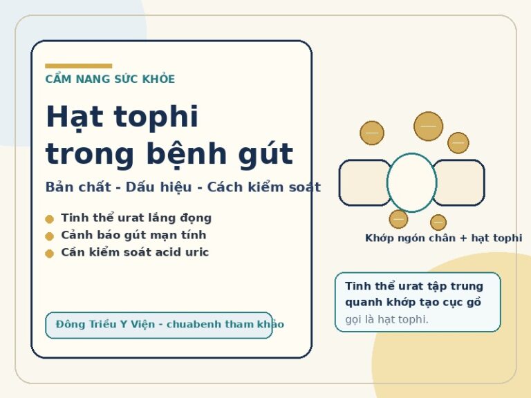 Hạt tophi trong bệnh gút: bản chất, dấu hiệu và cách kiểm soát